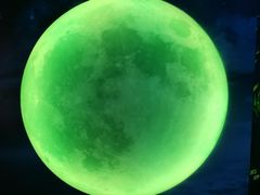 -天津梵高星空艺术馆(天河城旗舰店)
