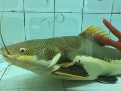 -古韵轩·江浙融合菜(梁溪店)