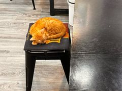 -韦记老友粉(大华店)