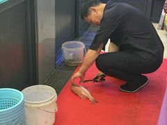 -金海湾海鲜排档(朱家尖店)