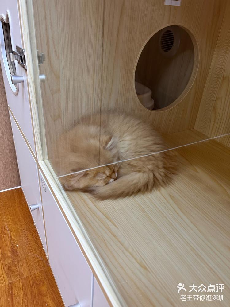 小朋友进来了就出不去了呀