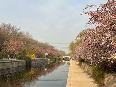 -元大都城垣遗址公园