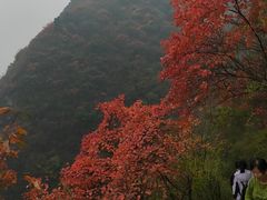 -秦岭风景区