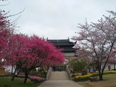 -苏州上方山国家森林公园