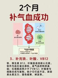 -克丽缇娜