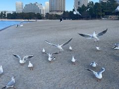 -台场海滨公园船码头