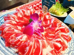 -阳坊涮肉(西直门凯德mall店)