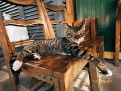 -老味道(田子坊店)