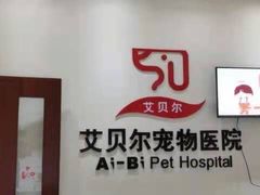 -艾贝尔宠物医院 ·内科全科(梁溪路店)