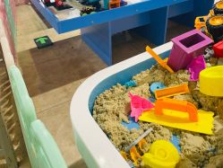 -卡通尼·Safari非洲探索乐园·生日会(金桥国际商业广场店)