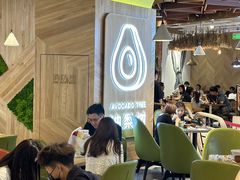 -油梨树AVOCADO TREE(嘉里中心店)