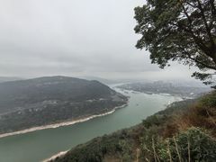 -铁山坪森林公园