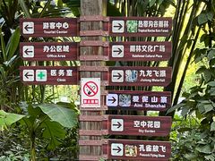 -西双版纳原始森林公园