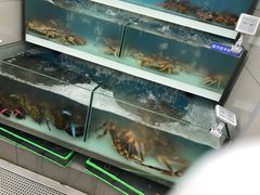 -盒马鲜生(大成店)