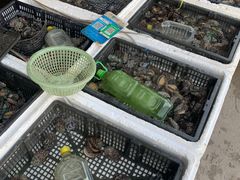 -东方国际水产中心-停车场