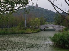 -鹏欣花园国宾酒店西餐厅