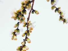 -颐和园