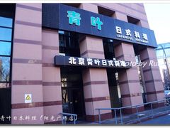 -青叶日式料理(飘亮阳光广场店)