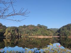 -广州市石门国家森林公园