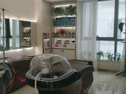 -碧莲盛·不剃发植发