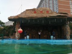 -灵玲国际马戏城