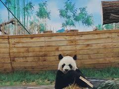 -秦皇岛野生动物园