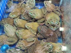 -胡家庙海鲜副食批发市场