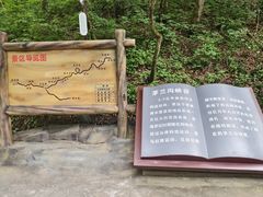 -茅兰沟国家森林公园