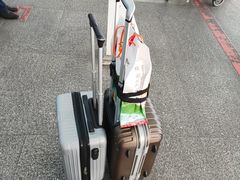 -广州白云国际机场-T2航站楼