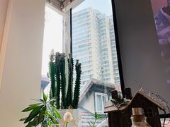 -蝶舍·MAISON PAPILLON