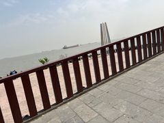 -上海滨江森林公园