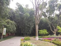 -望江楼公园