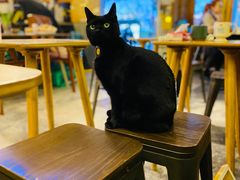 -店溡三(御华名苑愚园路1221弄店)