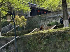 -南山风景名胜区