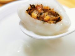 -海丝金凤(金鱼店)