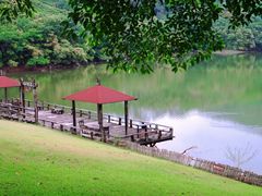 -雁南飞茶田景区