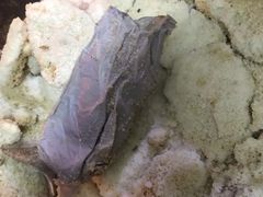 -吉英盐焗鸡(文中路店)