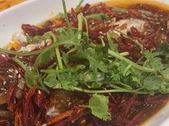 -杨氏青龙虾·羊蝎子(珠江路店)