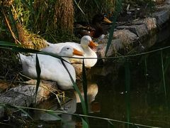 -三里河公园