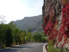 -乌龙峡谷景区
