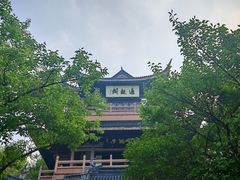 -范蠡湖公园