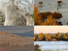 -莫尔道嘎国家森林公园