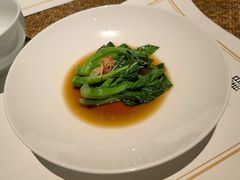 -觀芷隐轩