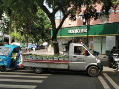 -面爸爸豆瓣抄手(贝森旗舰店)