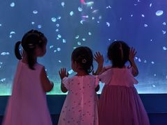 -太平洋海底世界