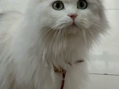 -美联众合动物医院·24h京西诊疗中心