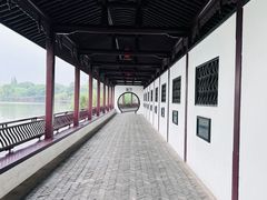 -无锡蠡湖国家湿地公园-蠡园