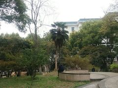 -华中师范大学-图书馆