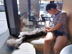 -瞄一喵猫咖(格力海岸店)