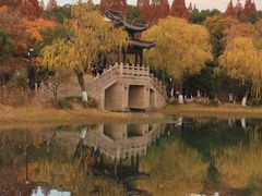 -尚湖风景区